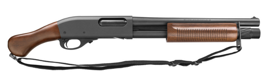 RE81231
